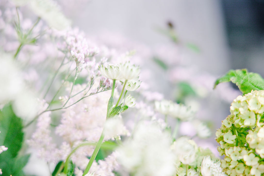 Full wedding media team coverage